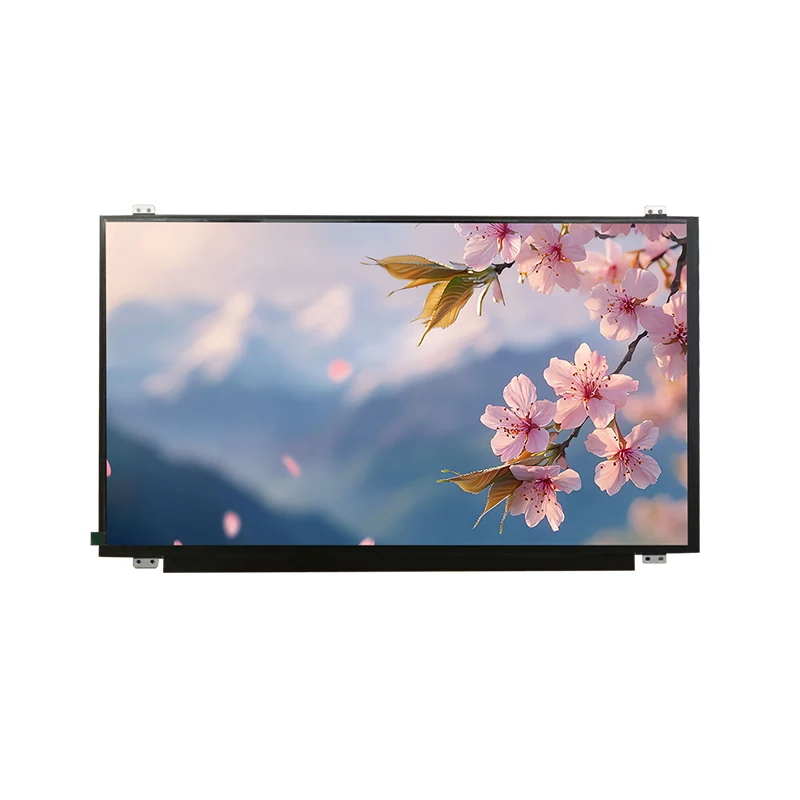 15.6 'HD 와이드 온도 IPS TFT LCD 화면 모듈