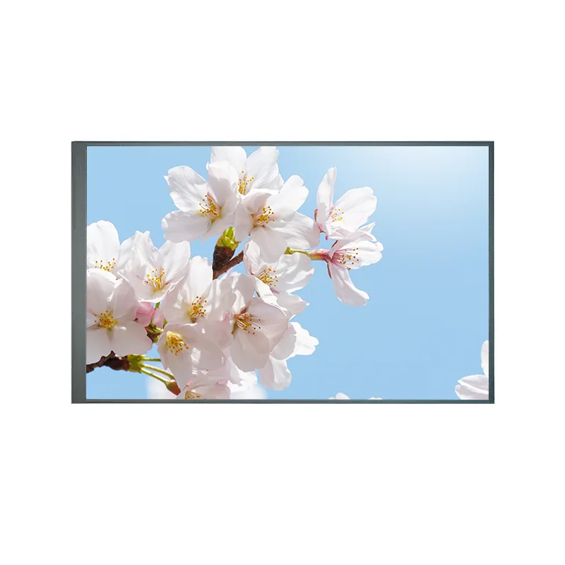 8.0 인치 일반적으로 TFT IPS TFT LCD 화면 모듈